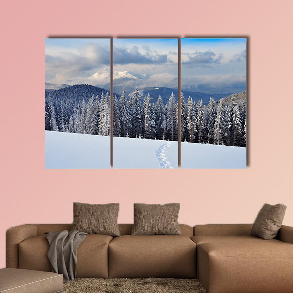 Winter landscape with a footpath, Carpathians, Ukraine multi panel canvas wall art