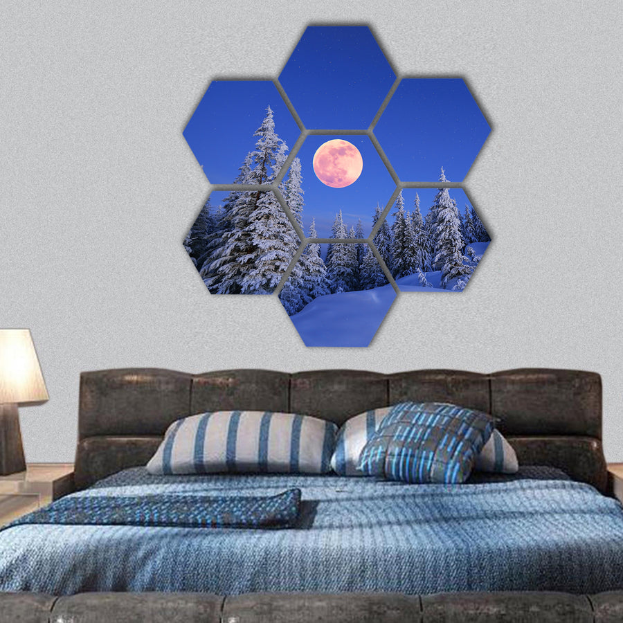 Winter landscape in the mountains at night with full moon hexagonal canvas wall art