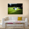 Golf ball on green meadow, driver Multi Panel Canvas Wall Art