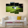 Golf ball on green meadow, driver Multi Panel Canvas Wall Art