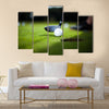 Golf ball on green meadow, driver Multi Panel Canvas Wall Art