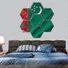 Turkmenistan Flag hexagonal canvas wall art