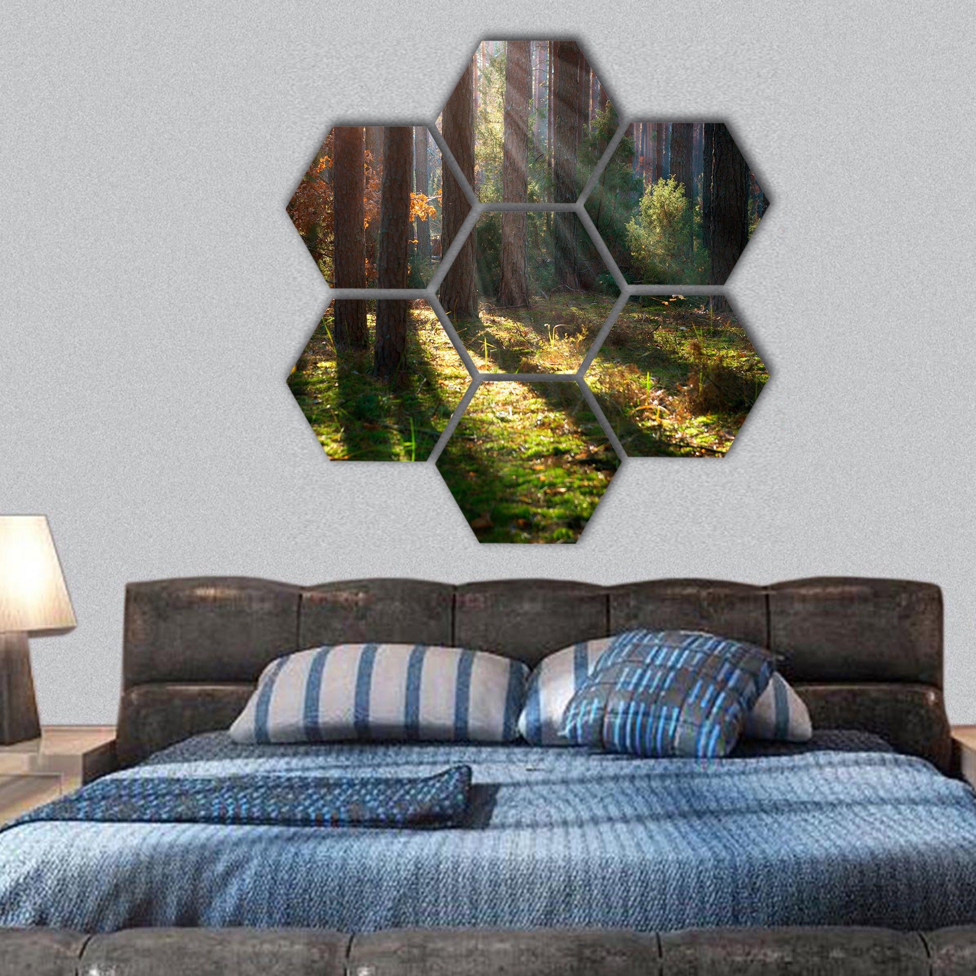 Misty Old Forest Autumn Woods hexagonal canvas wall art