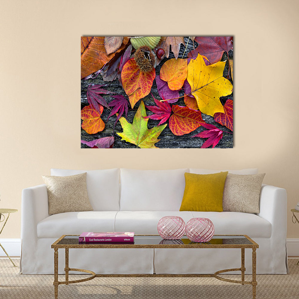Abstract background of autumn leaves Multi panel canvas wall art