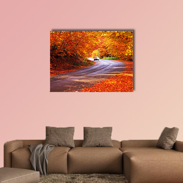 Red autumn sunny road with blurred car in deep Bulgarian wall art