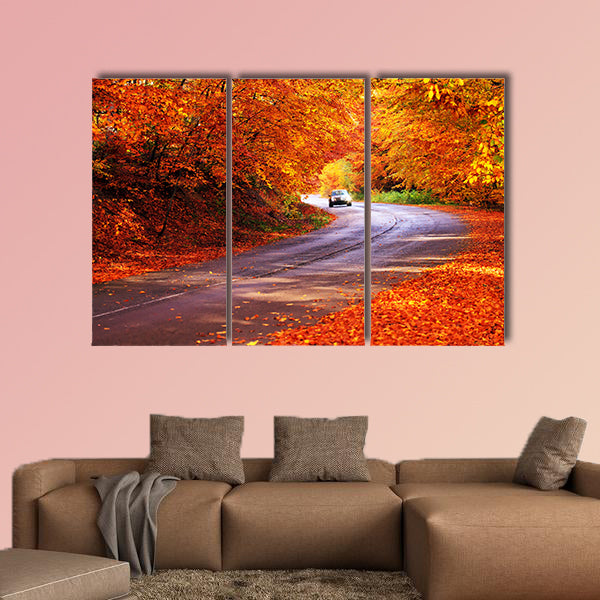  Red autumn sunny road with blurred car in deep Bulgarian wall art
