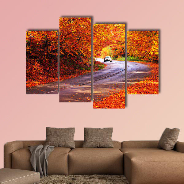  Red autumn sunny road with blurred car in deep Bulgarian wall art