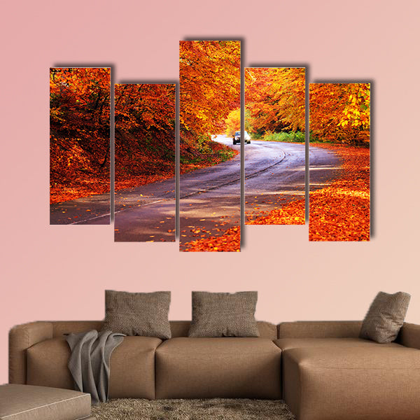  Red autumn sunny road with blurred car in deep Bulgarian wall art