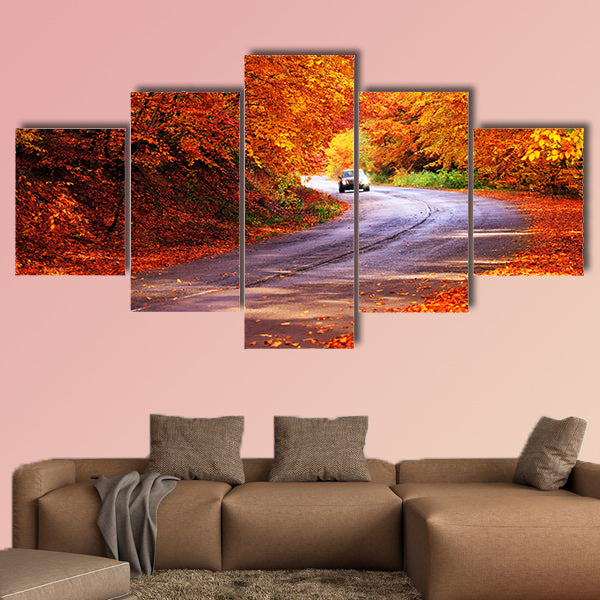  Red autumn sunny road with blurred car in deep Bulgarian wall art