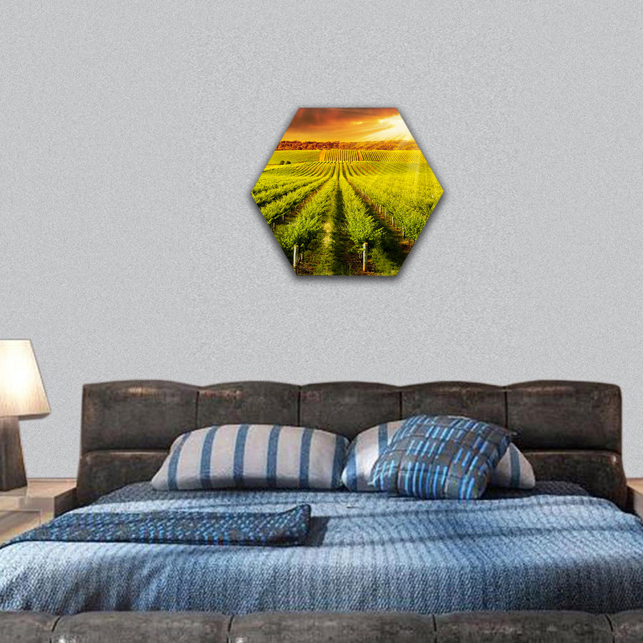 Beautiful Sunset over vineyard in South Australia hexagonal canvas wall art