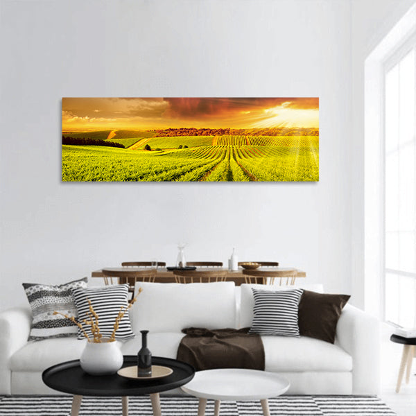 A Beautiful Sunset over vineyard in South Australia panoramic canvas wall art