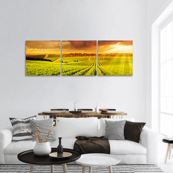 A Beautiful Sunset over vineyard in South Australia panoramic canvas wall art