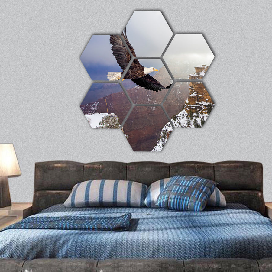 Bald eagle flying above grand canyon hexagonal canvas wall art