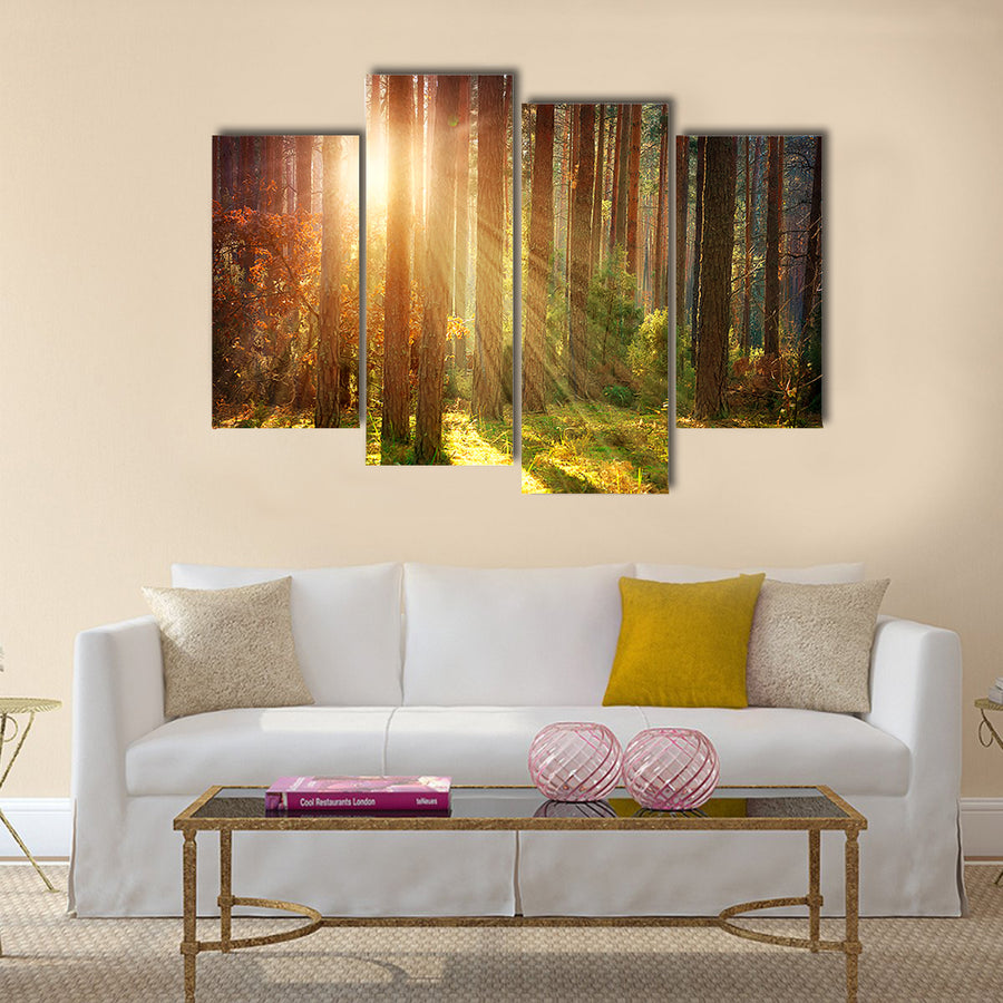 Misty Old Forest Autumn Woods  multi panel canvas wall art