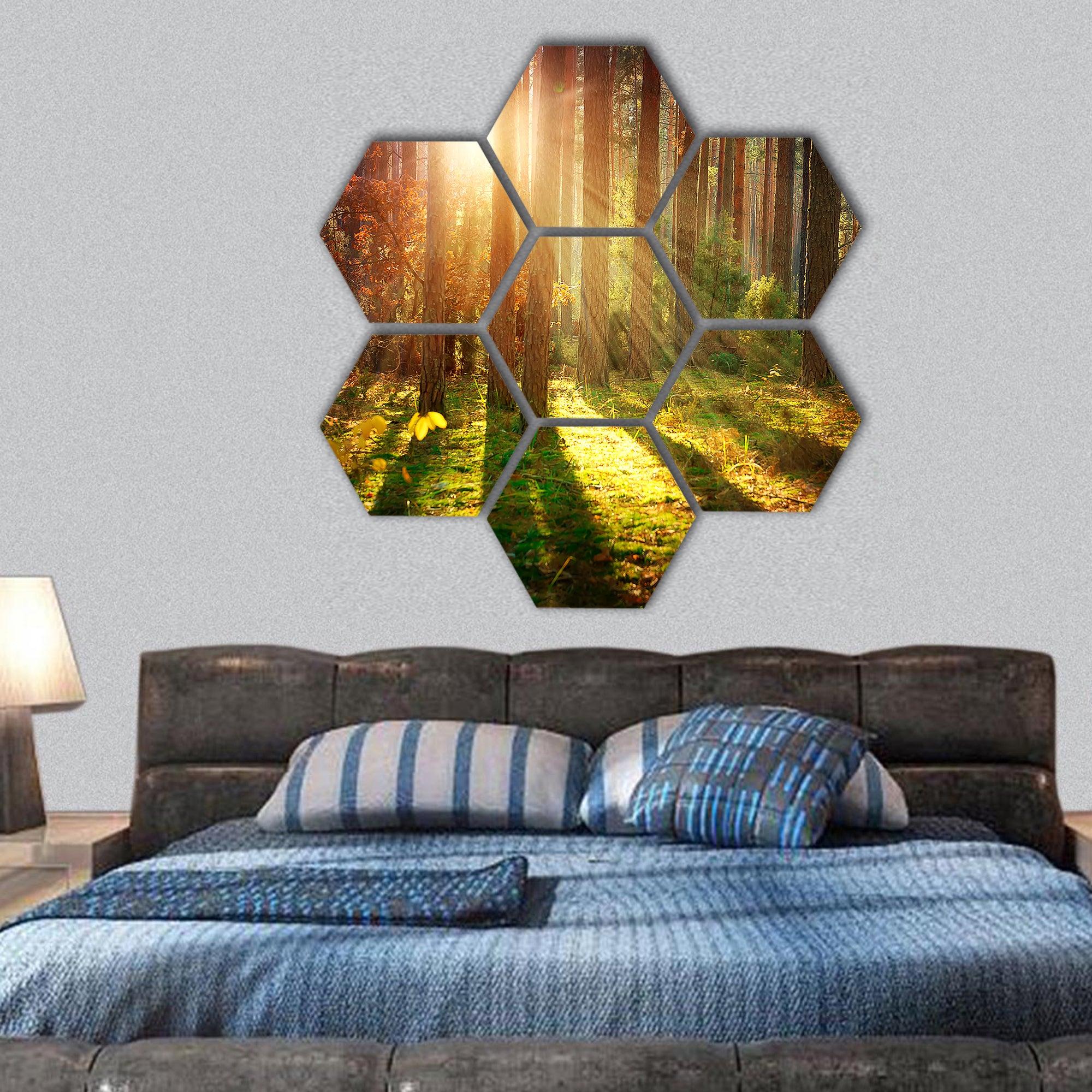 Misty Old Forest Autumn Woods hexagonal canvas wall art