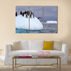 Gentoo penguin jumping into water from iceberg multi Panel Canvas wall Art