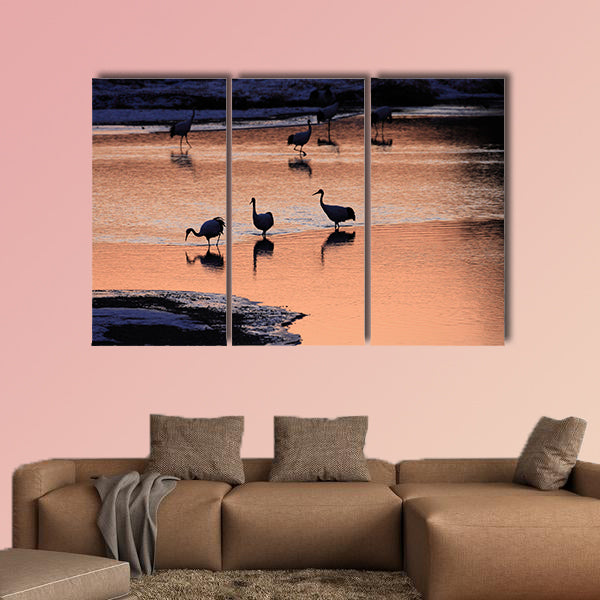 Japanese crane Grus Japonensis early morning multi panel canvas wall art