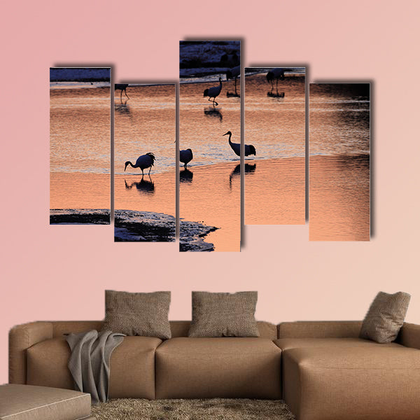 Japanese crane Grus Japonensis early morning multi panel canvas wall art