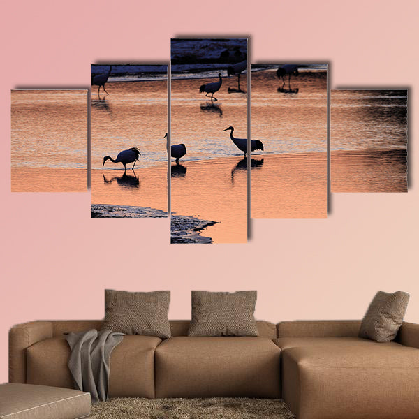 Japanese crane Grus Japonensis early morning multi panel canvas wall art