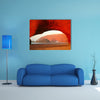 The Red arches on Atlantic Ocean coast, Morocco multi panel canvas wall art