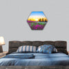 Sunrise and flowers scenery hexagonal canvas wall art