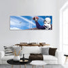 Football Player catching a Touchdown Pass Panoramic Canvas Wall Art