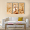 Arabian horse running out of the Desert Storm Multi panel canvas wall art