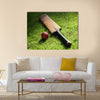 Cricket bat and ball on green grass of cricket pitch Multi Panel Canvas Wall Art