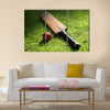 Cricket bat and ball on green grass of cricket pitch Multi Panel Canvas Wall Art