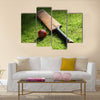 Cricket bat and ball on green grass of cricket pitch Multi Panel Canvas Wall Art