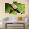 Cricket bat and ball on green grass of cricket pitch Multi Panel Canvas Wall Art