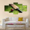 Cricket bat and ball on green grass of cricket pitch Multi Panel Canvas Wall Art