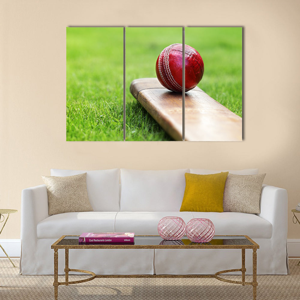 cricket bat on green grass of cricket pitch Multi panel canvas Wall art