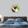 Cricket ball resting on a cricket bat hexagonal canvas wall art