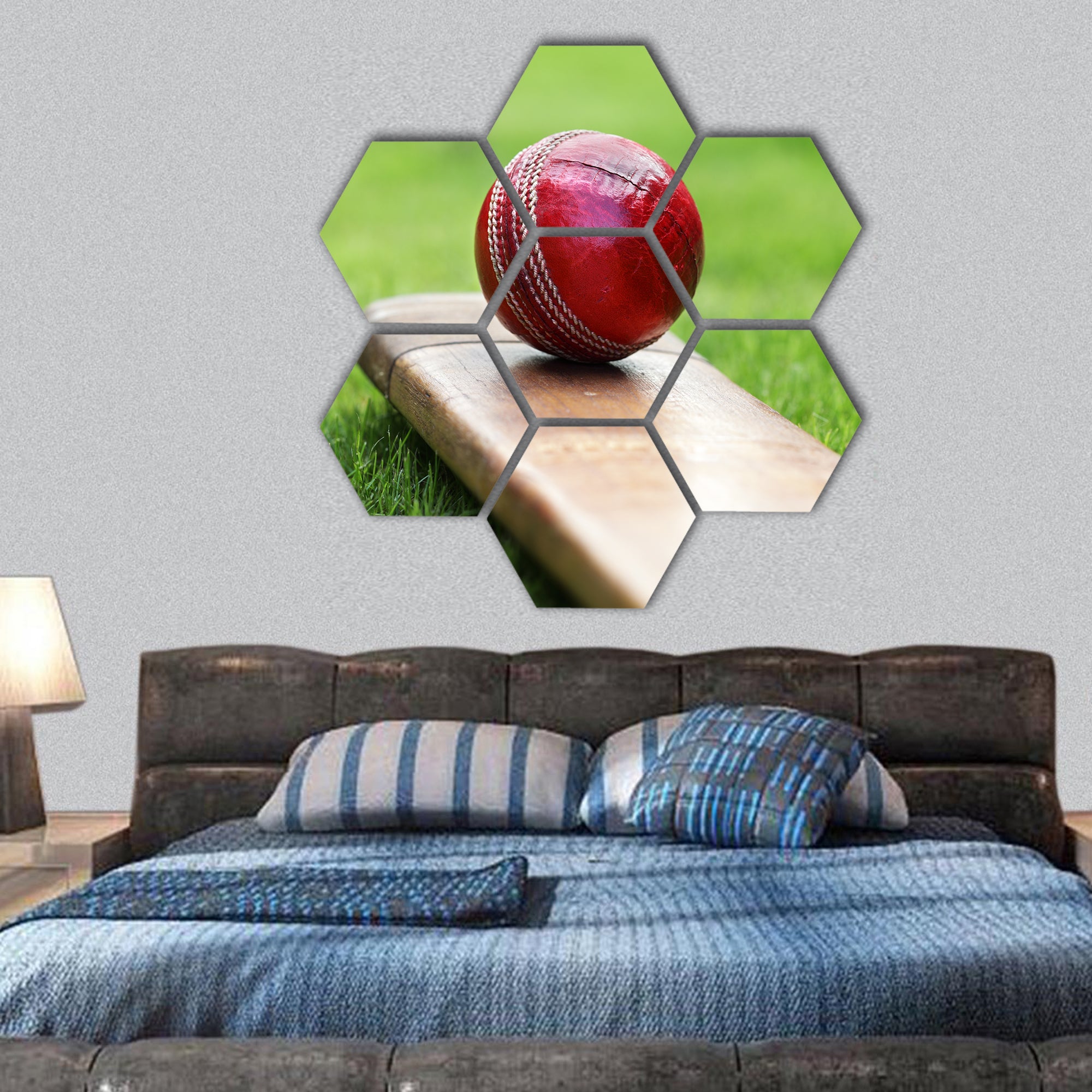 Cricket ball resting on a cricket bat hexagonal canvas wall art