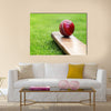 Cricket ball resting on a cricket bat on green grass Multi Panel Canvas Wall Art