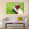 Cricket ball resting on a cricket bat on green grass Multi Panel Canvas Wall Art