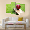 Cricket ball resting on a cricket bat on green grass Multi Panel Canvas Wall Art