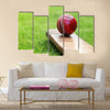 Cricket ball resting on a cricket bat on green grass Multi Panel Canvas Wall Art