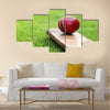 Cricket ball resting on a cricket bat on green grass Multi Panel Canvas Wall Art