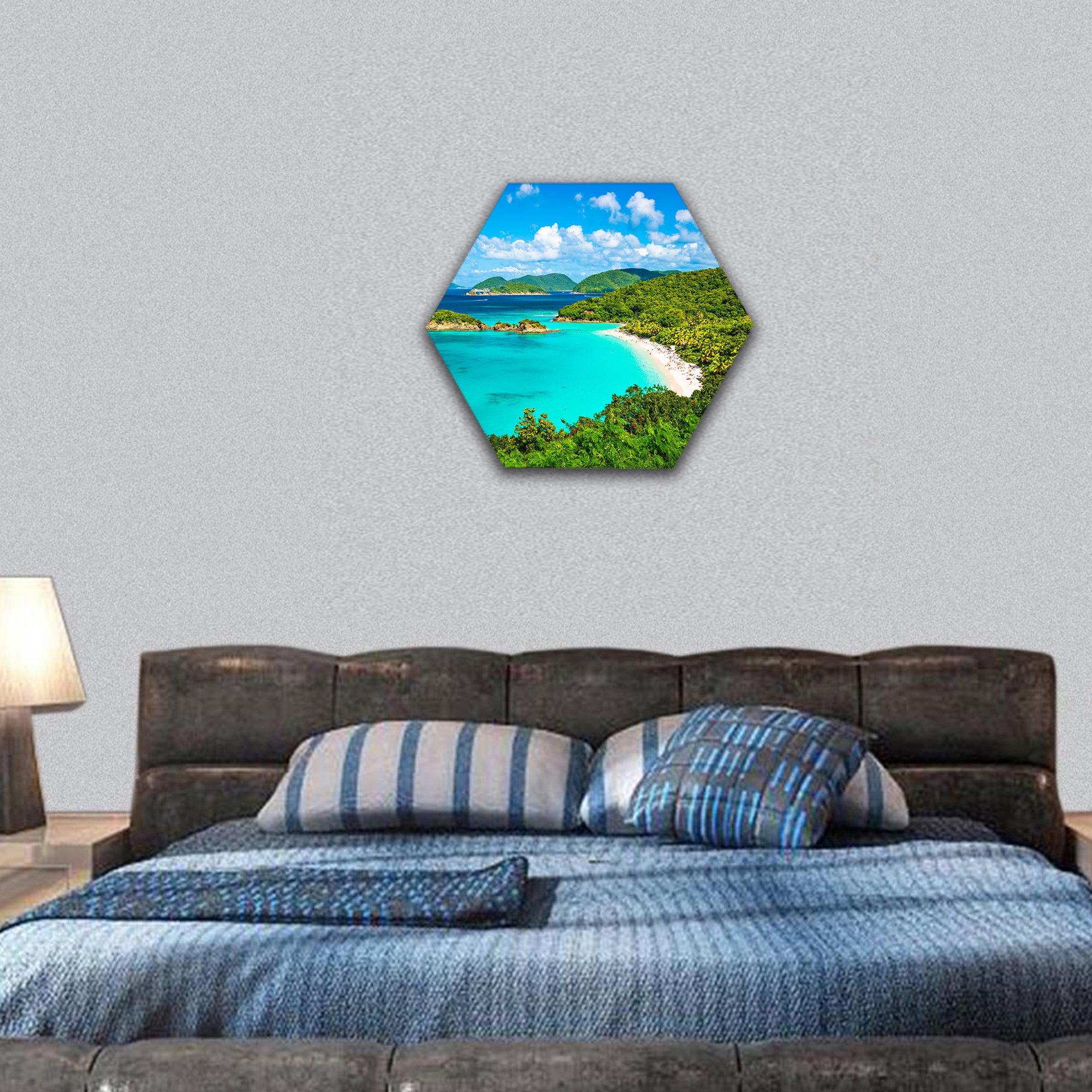 Trunk Bay, United States Virgin Islands hexagonal canvas wall art