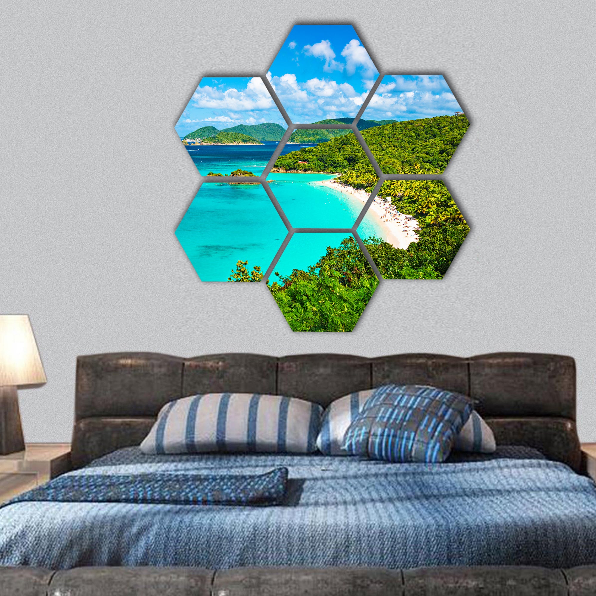 Trunk Bay, United States Virgin Islands hexagonal canvas wall art