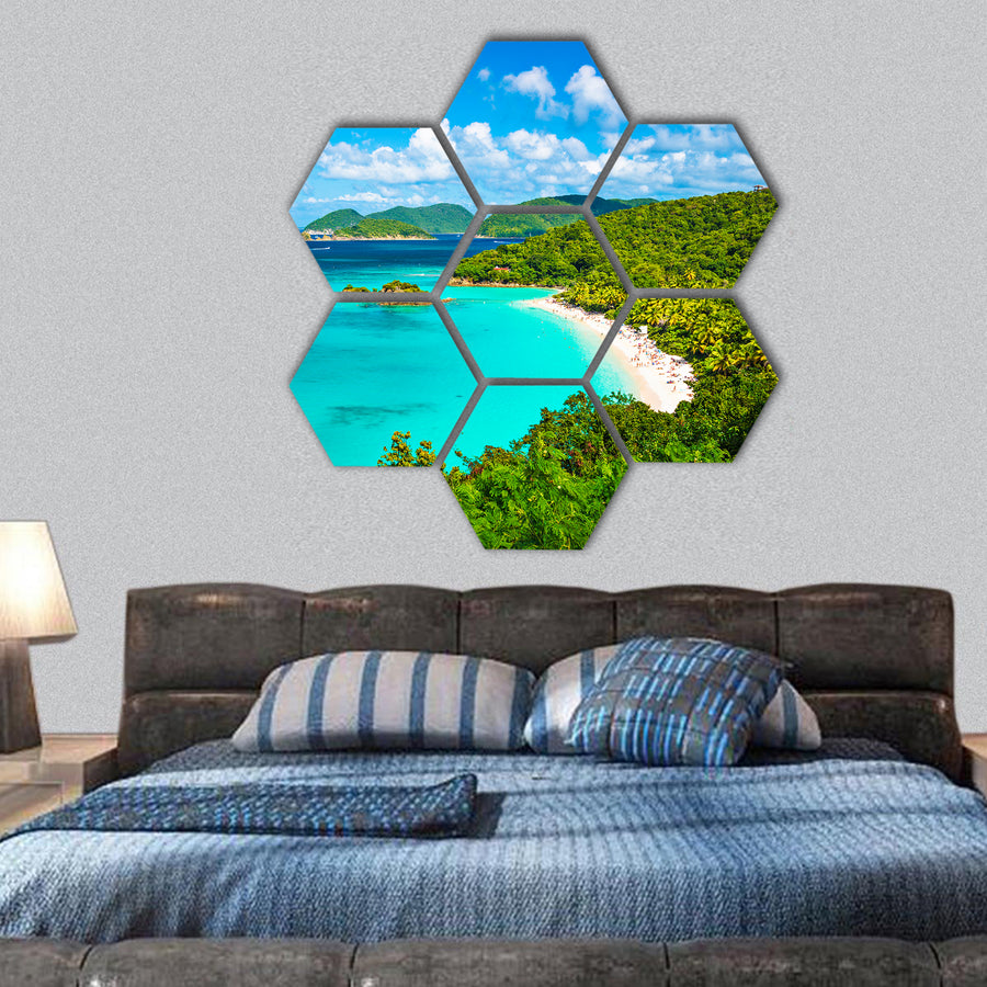 Trunk Bay, United States Virgin Islands hexagonal canvas wall art