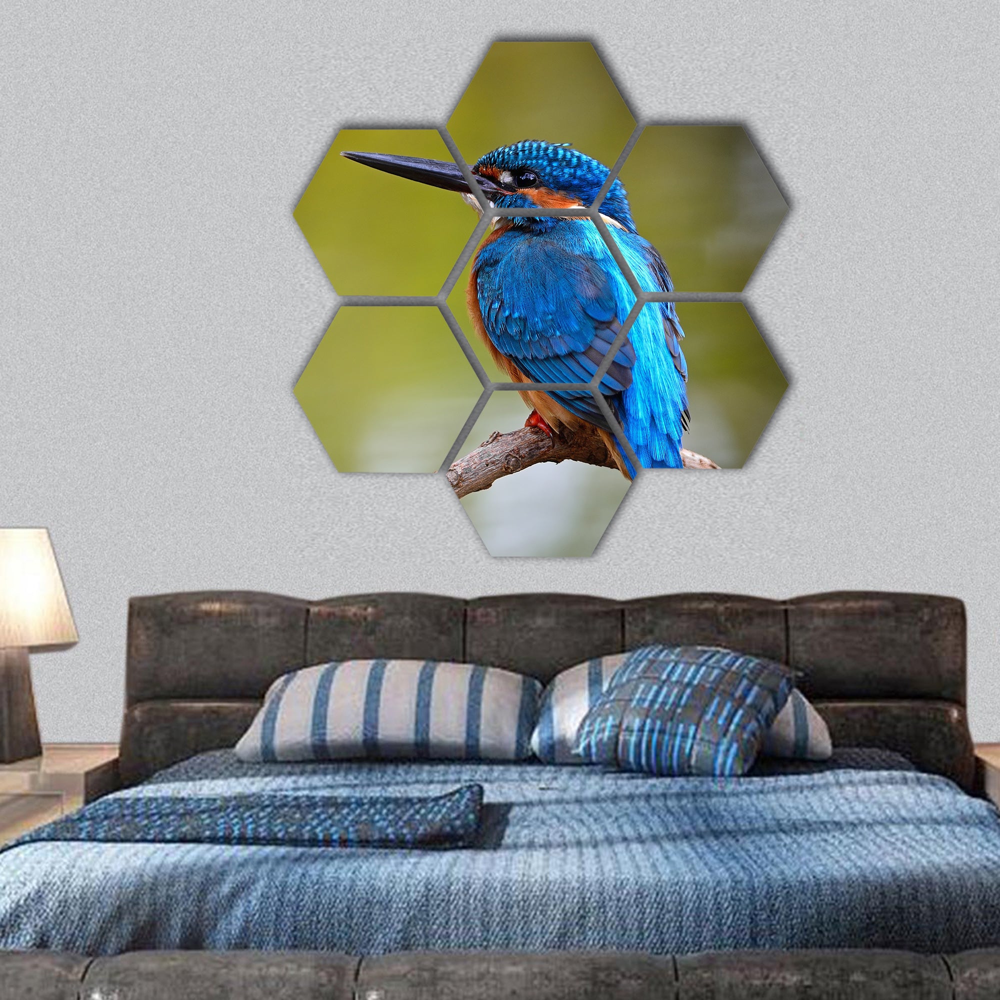 blue Kingfisher bird, male Common Kingfisher hexagonal canvas wall art