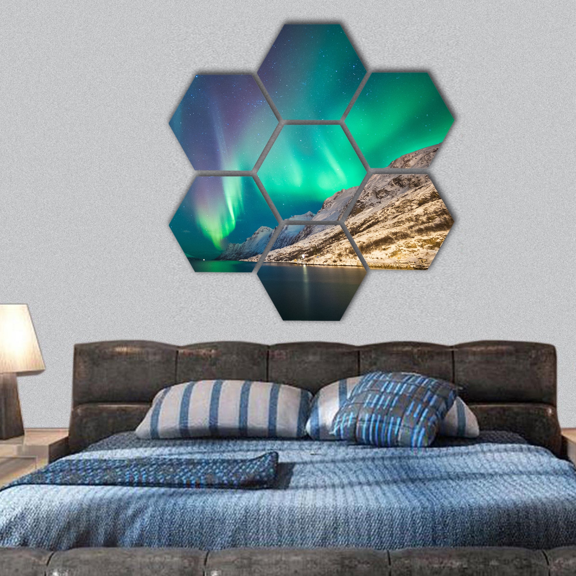 Northern lights at Ersfjordbotn, Tromso, Norway hexagonal canvas wall art