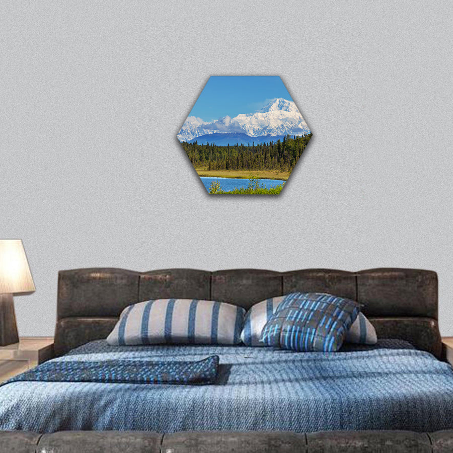 McKinley peak hexagonal canvas wall art