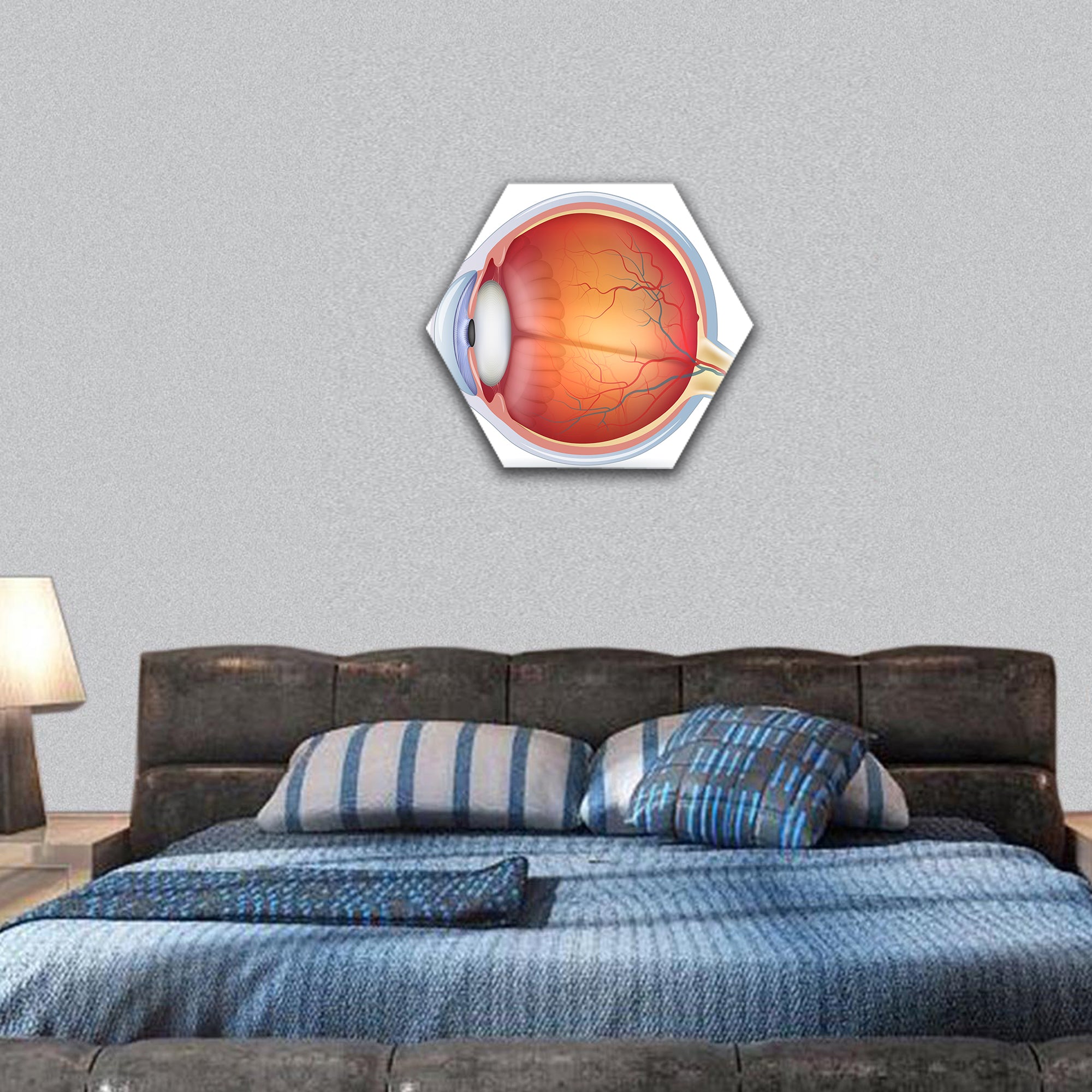 Human eye anatomy diagram, medical illustration hexagonal canvas wall art