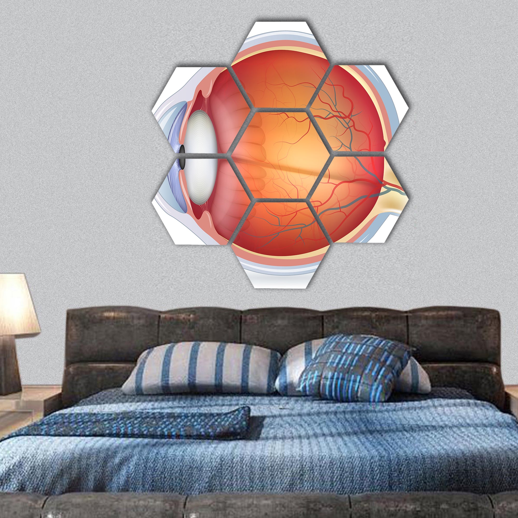 Human eye anatomy diagram, medical illustration hexagonal canvas wall art