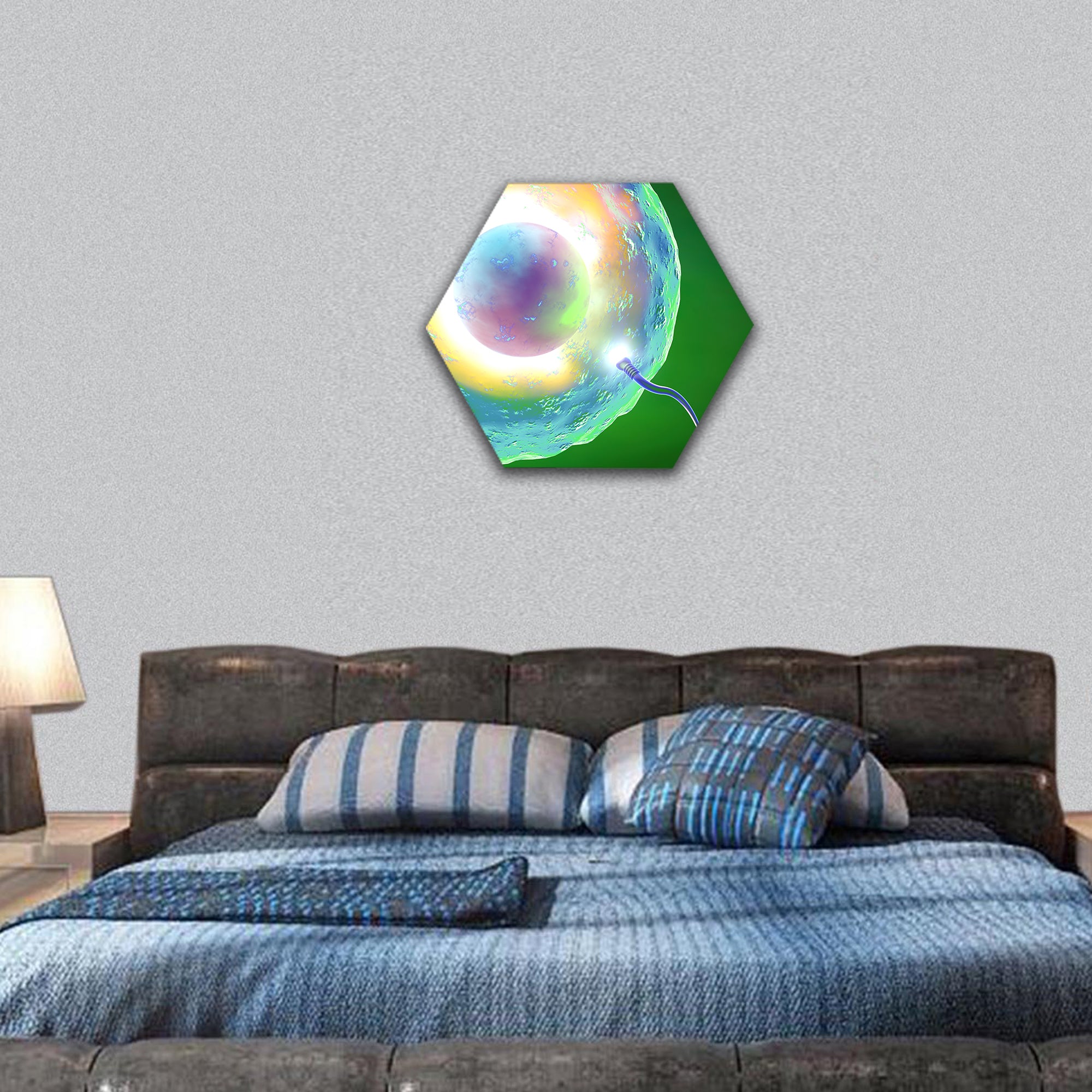 Conception ovum and sperm hexagonal canvas wall art