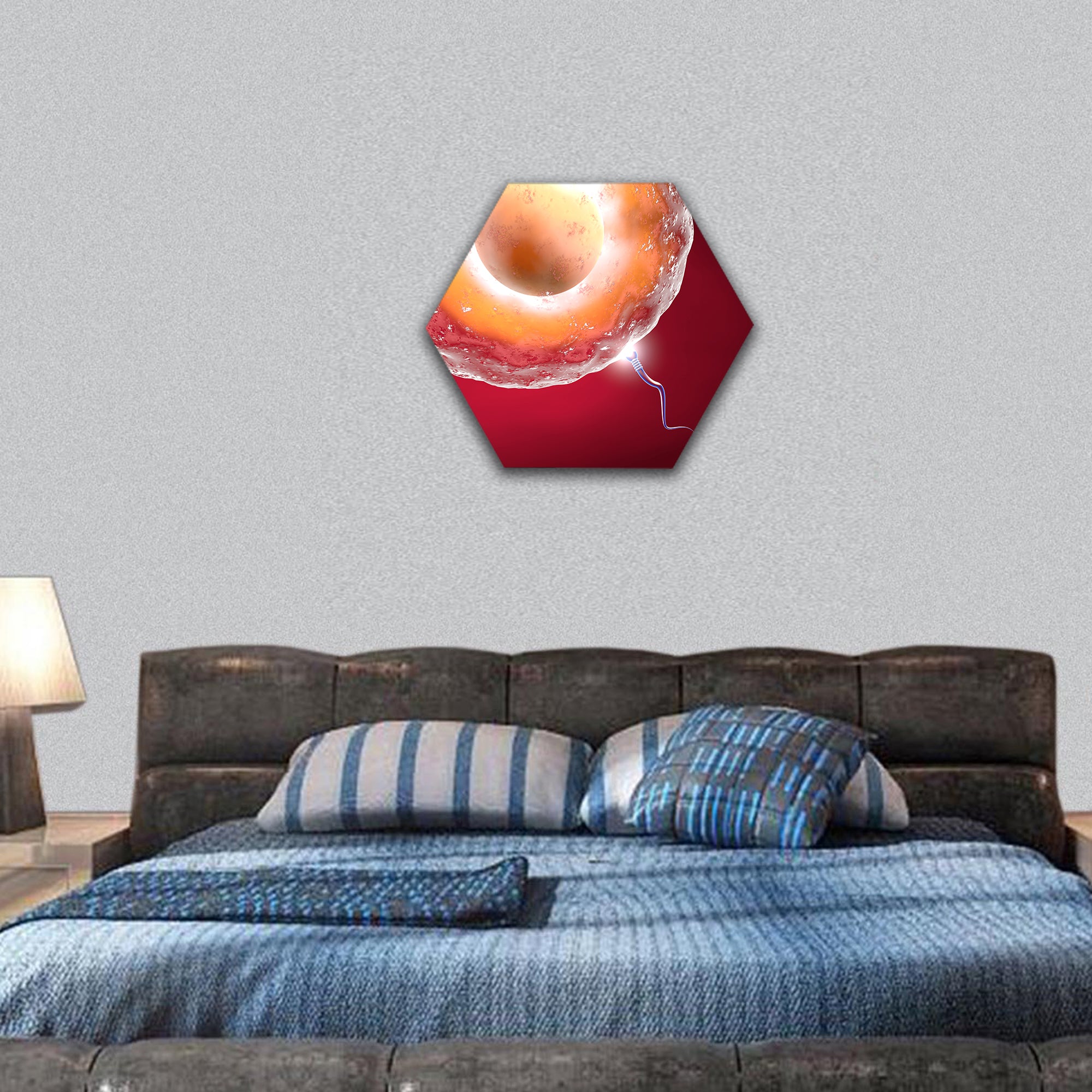 Conception ovum and sperm hexagonal canvas wall art